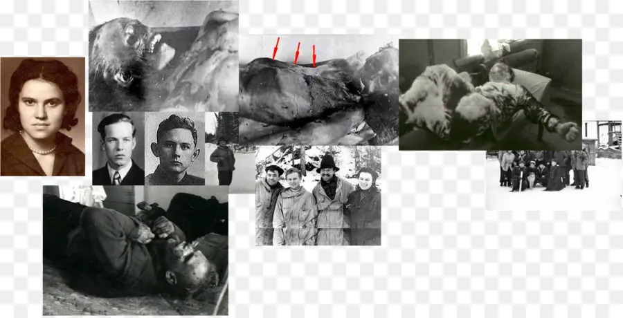 Photos Historiques，Noir Et Blanc PNG