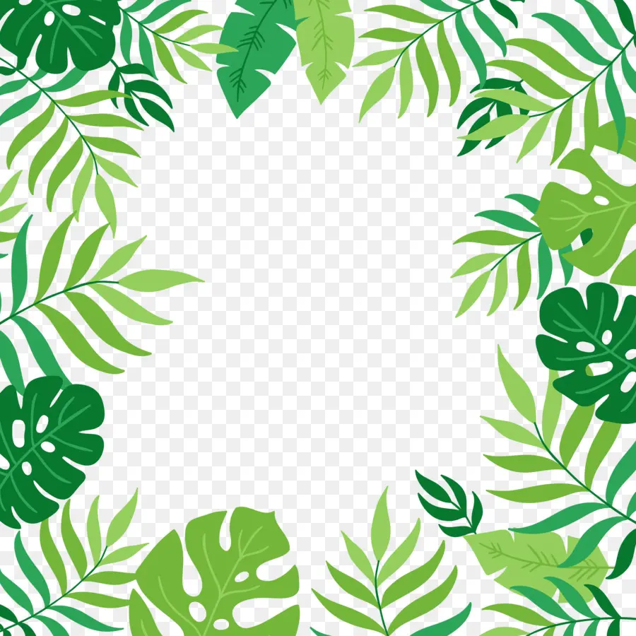 Cadre De Feuille，Vert PNG