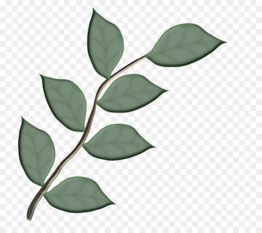 Feuilles Vertes，Bifurquer PNG