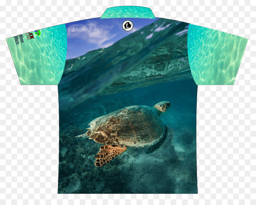Tortue Caouanne，Tortue PNG