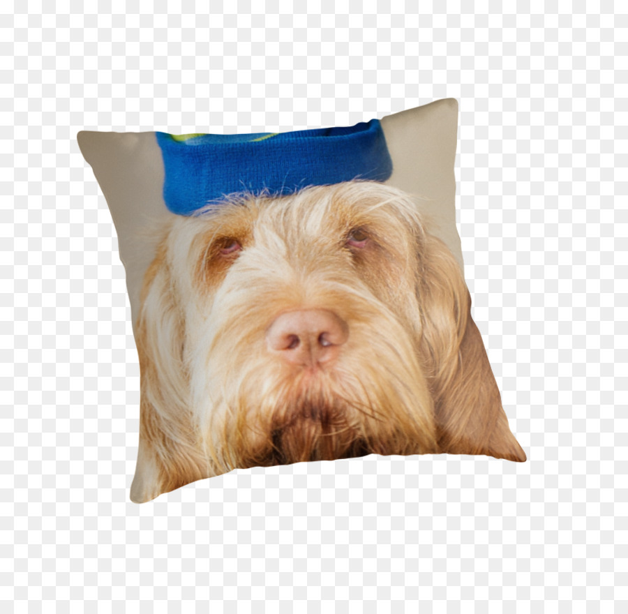 Race De Chien，Chien PNG