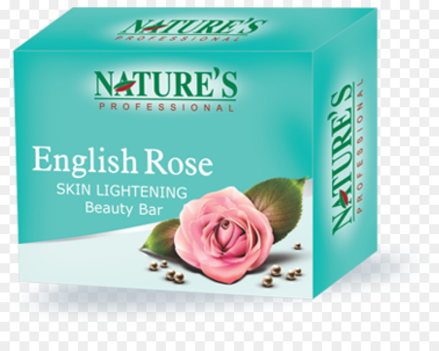 Rose Anglaise，Crème PNG