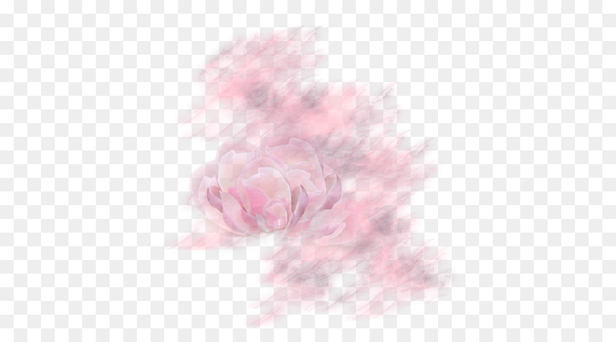 Fleur，Rouge PNG