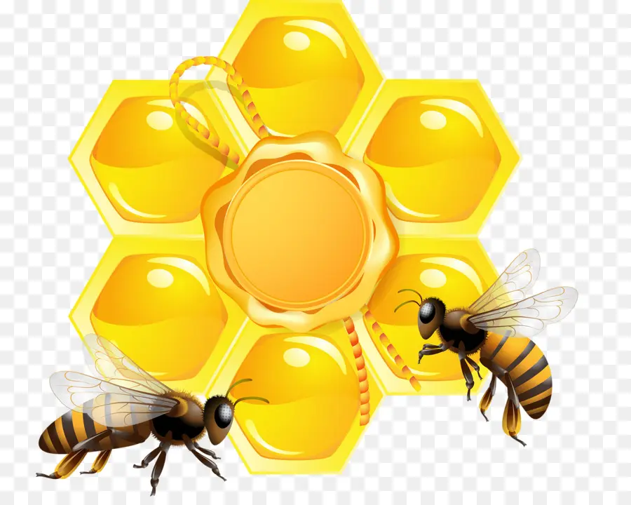 Abeille，Rayon De Miel PNG