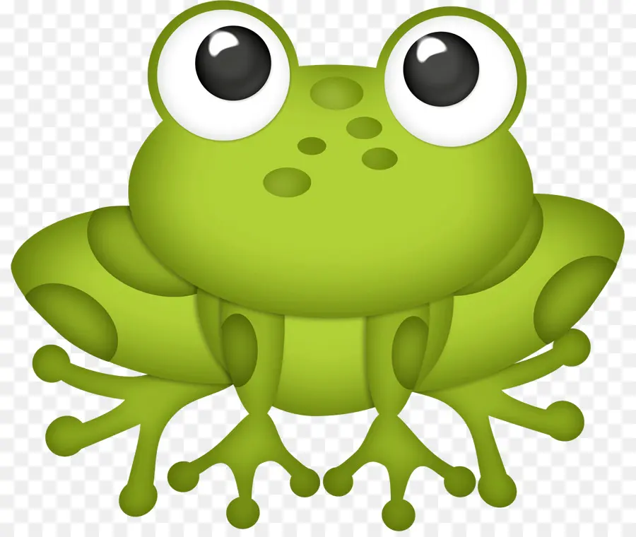 Grenouille Verte，Amphibie PNG