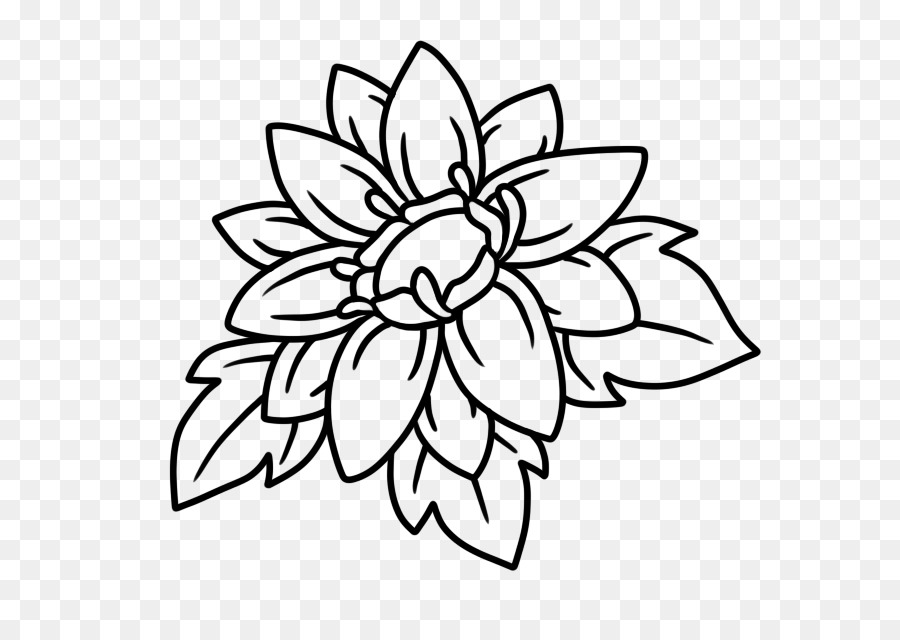 Conception Florale，Fleurs PNG