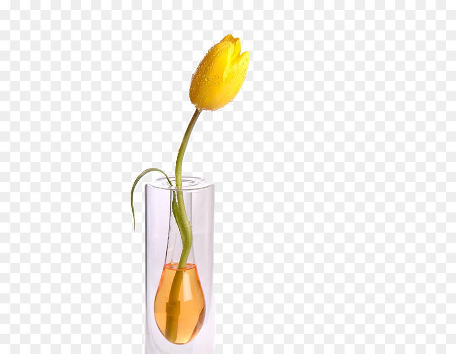 Still Life La Photographie，Vase PNG