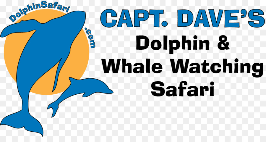 Le Capitaine Dave Dana Point D Observation Des Baleines，Cétacés PNG