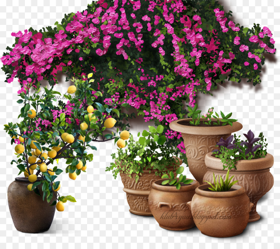 Flowerpot，Fleur PNG