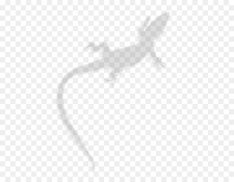 Gecko，Blanc PNG