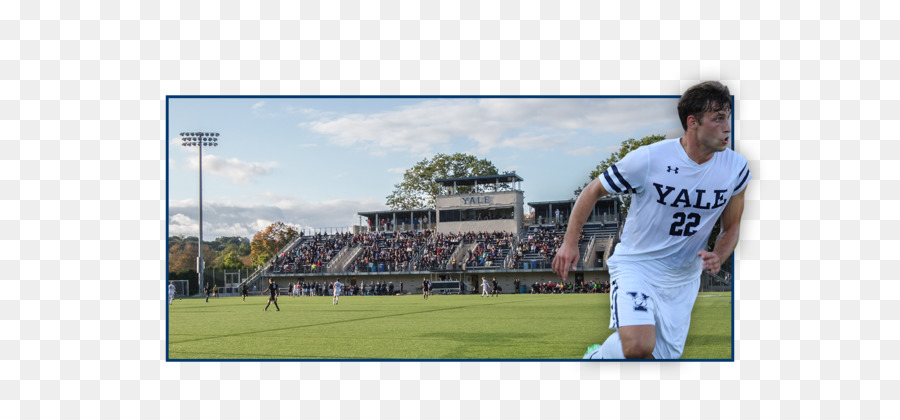 Butler Bulldogs Football Féminin，Football Masculin Bouledogues Butler PNG