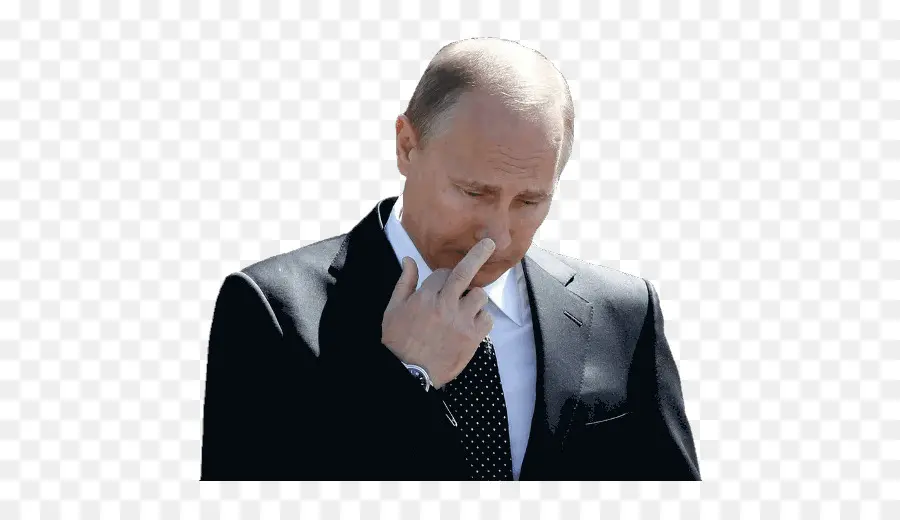Vladimir，Vladimir Poutine PNG