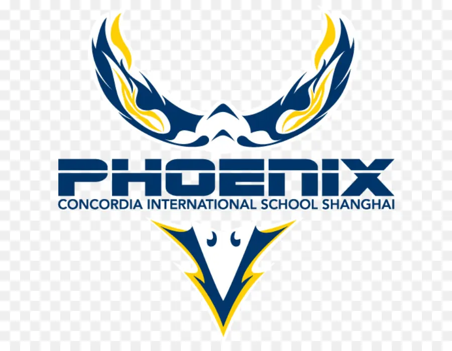 Concordia L École Internationale De Shanghai，Jinqiao PNG
