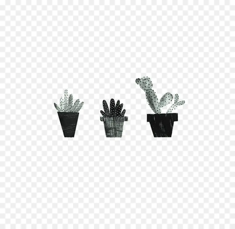 Cactus，Succulent PNG