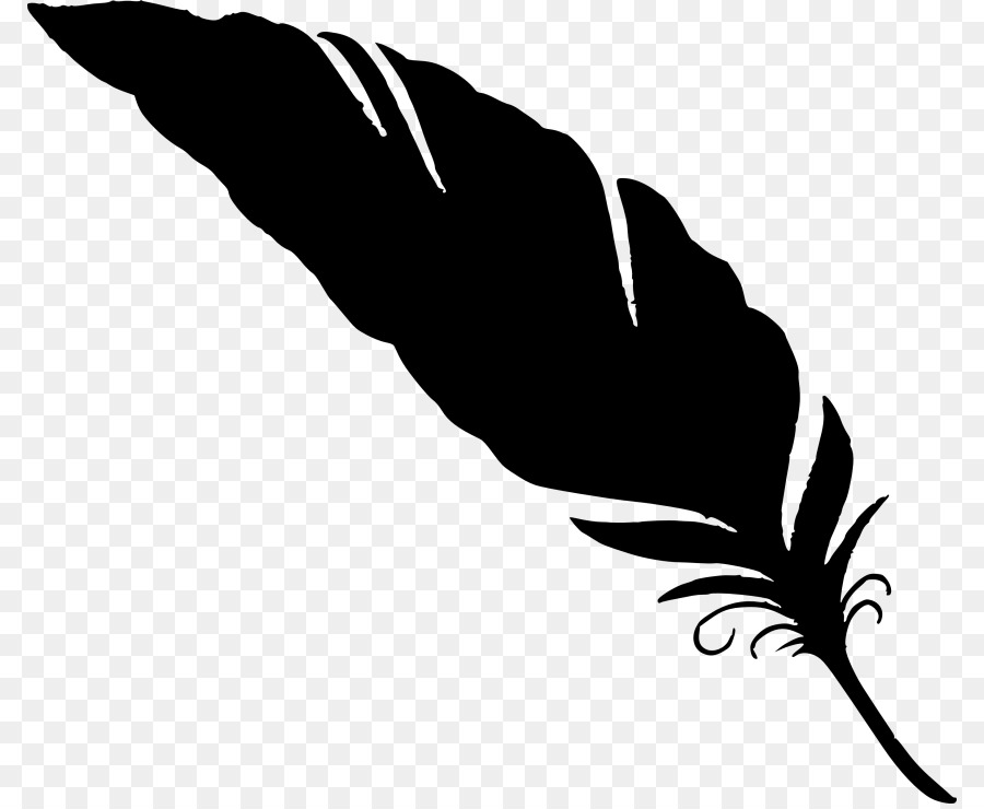 Plume，Chouette PNG