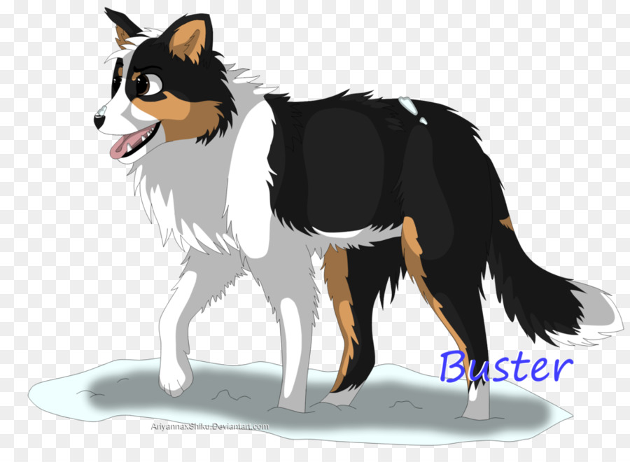 Race De Chien，Border Collie PNG