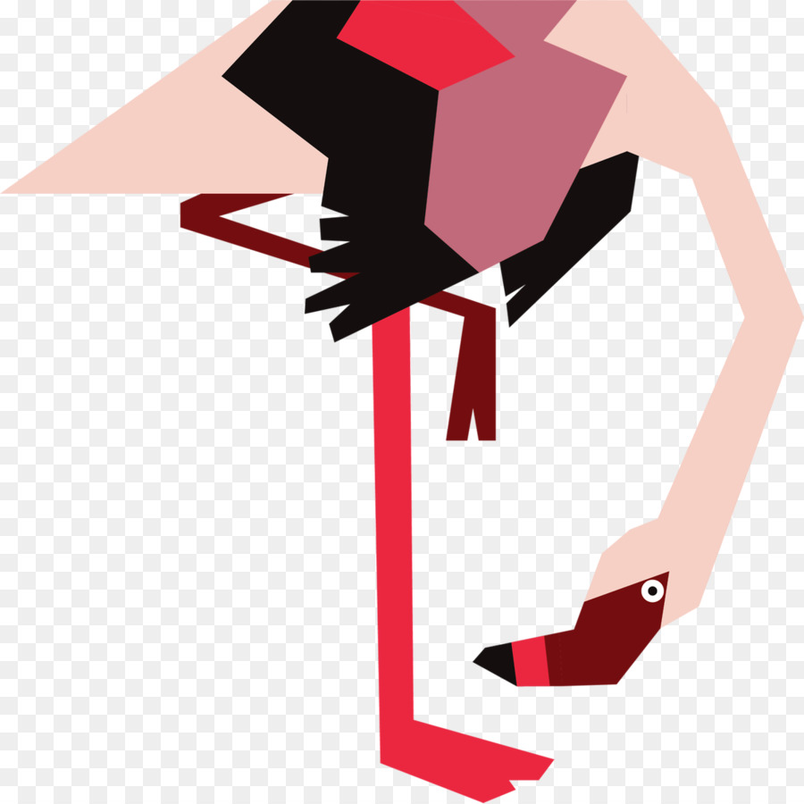 Flamingo，Illustrator PNG