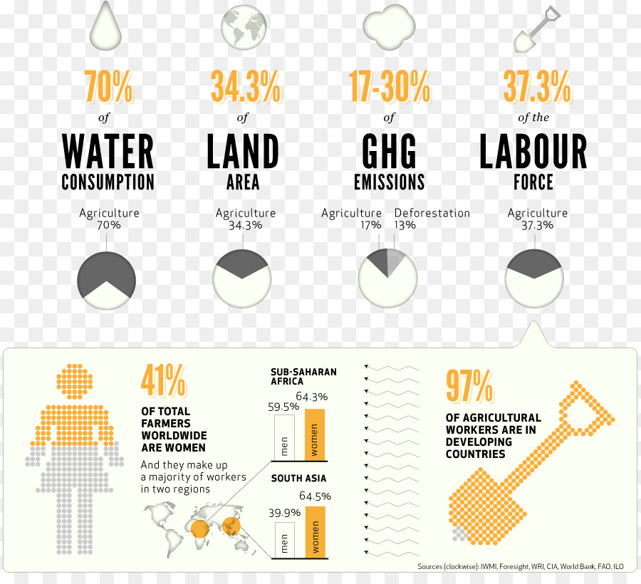 Infographie，Statistiques PNG