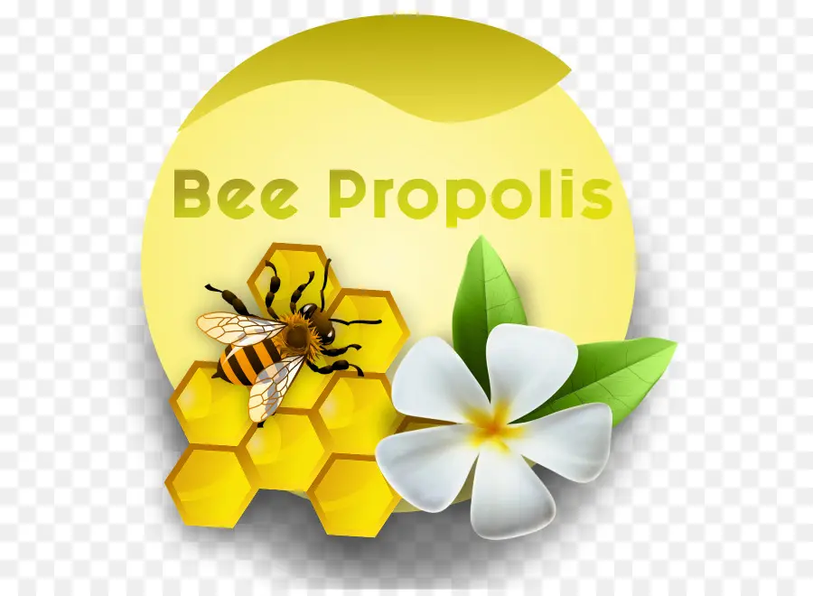 Propolis D'abeille，Rayon De Miel PNG