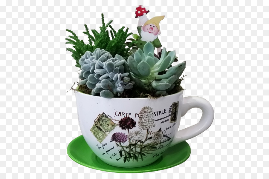 Plante Succulente，Tasse PNG