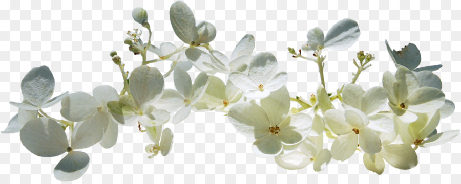 Printemps，Texte PNG