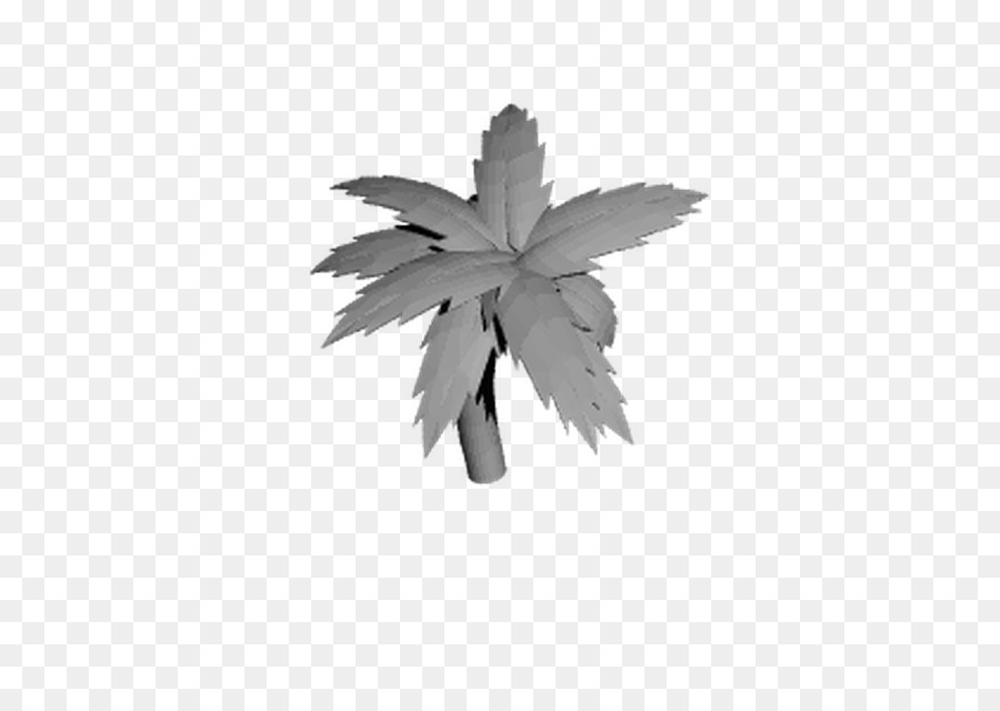 Feuille，Blanc PNG