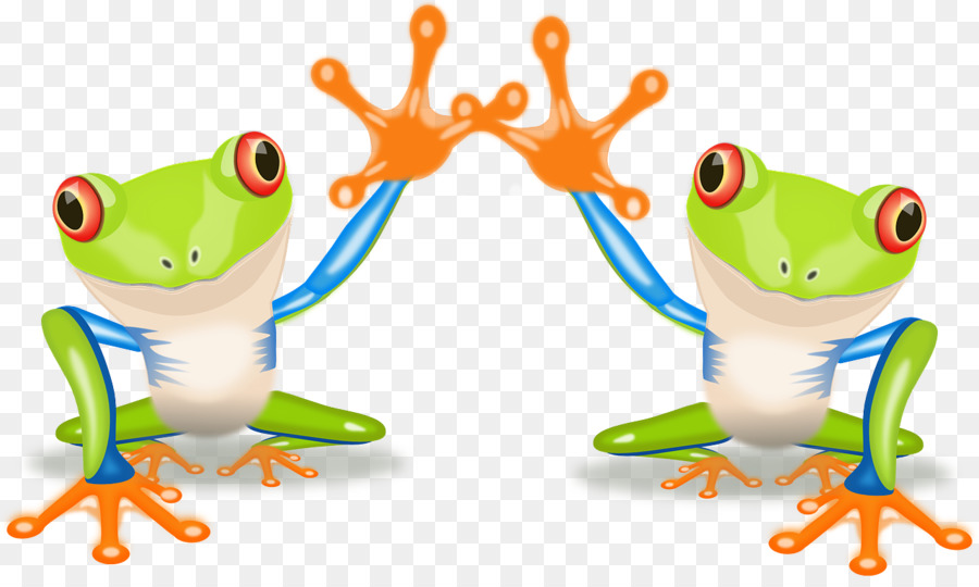 Grenouilles De Dessin Animé，Amphibie PNG