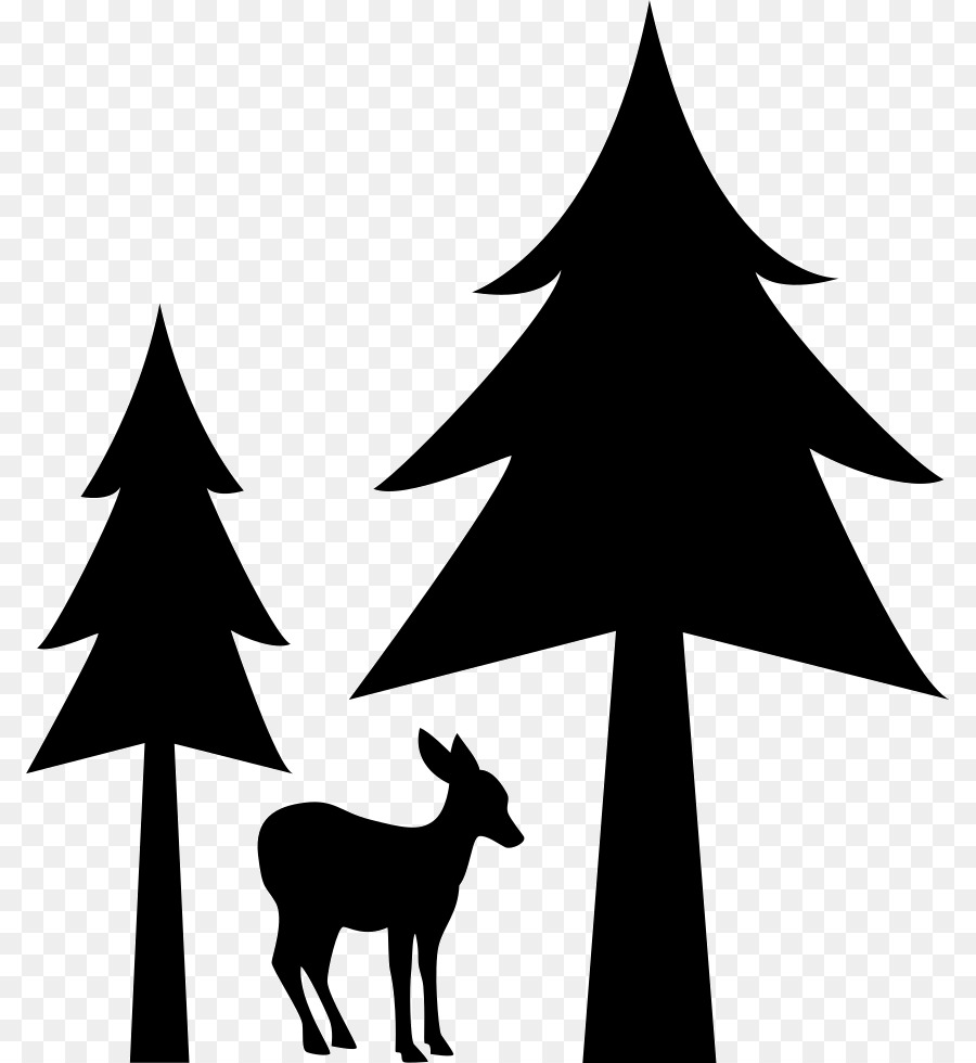 Cerfs Et Arbres，Forêt PNG