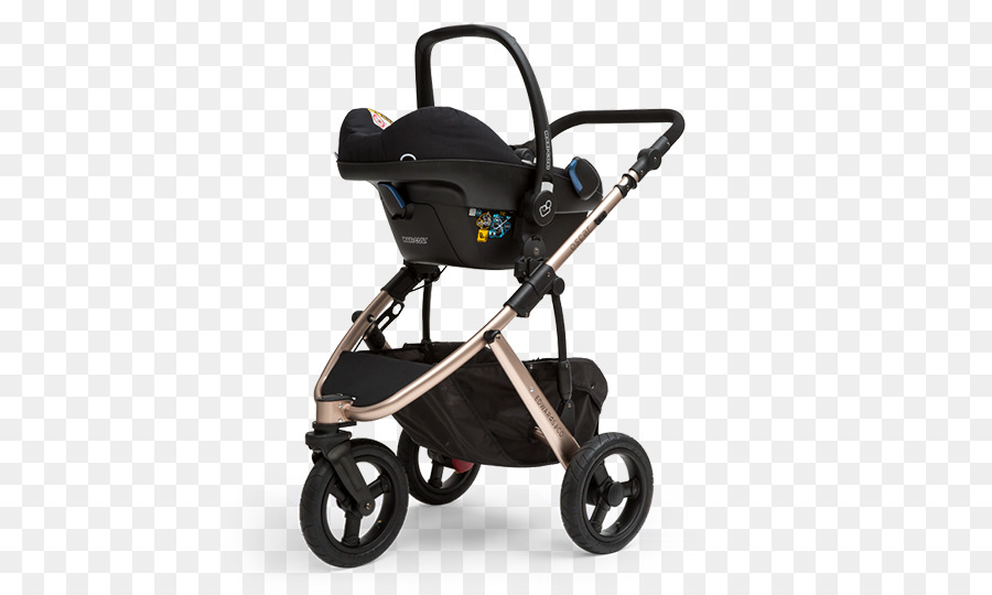 Bébé De Transport，Edwards PNG