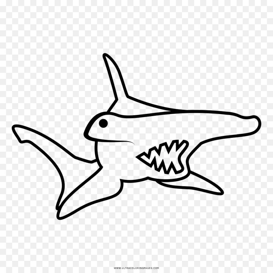 Requin Marteau，Requin PNG