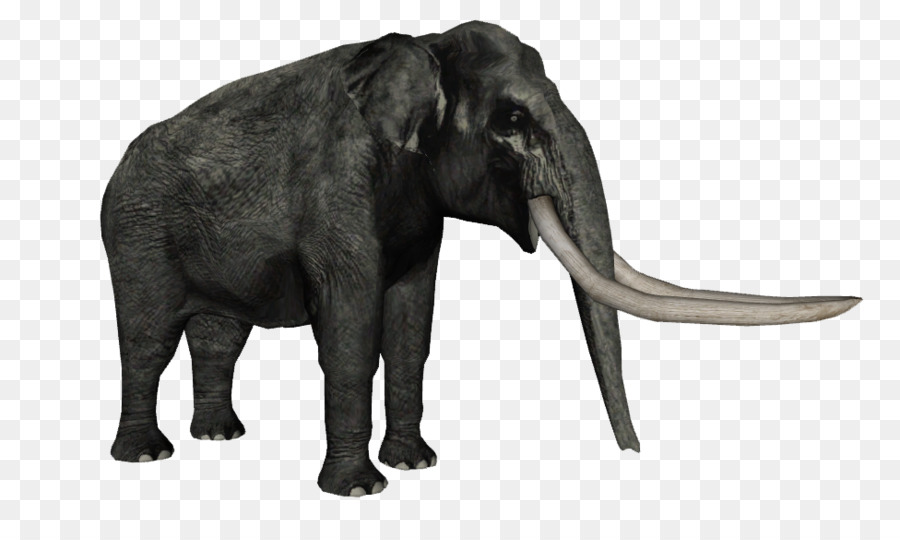 L éléphant D Afrique，Stegodon PNG
