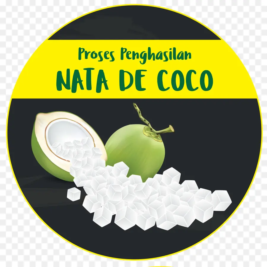 Nata De Coco，Noix De Coco PNG