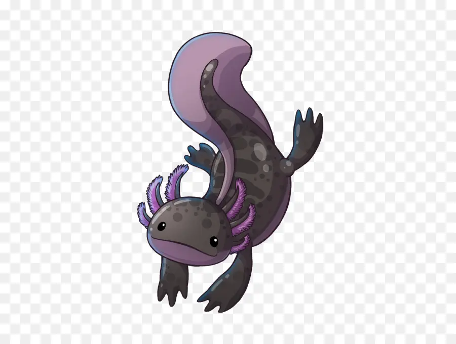 Axolotl，Mignon PNG