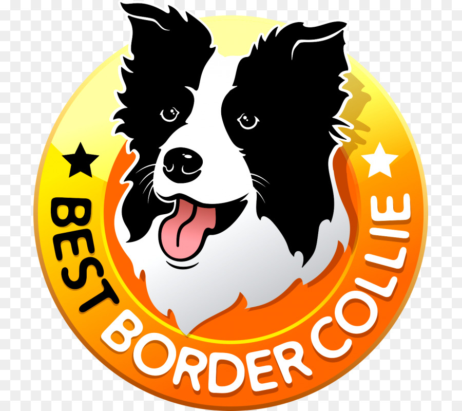 Border Collie，Chien PNG