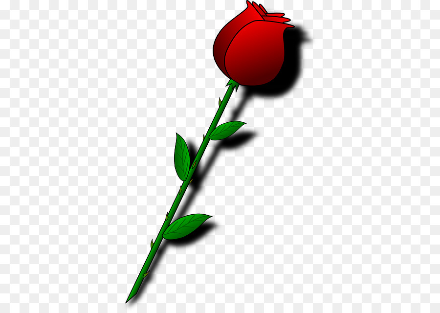 Rose Rouge，Bourgeon PNG