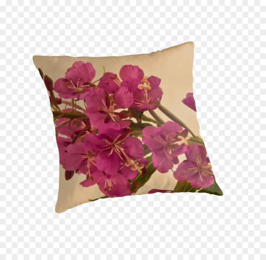 Lancer Des Oreillers，Coussin PNG