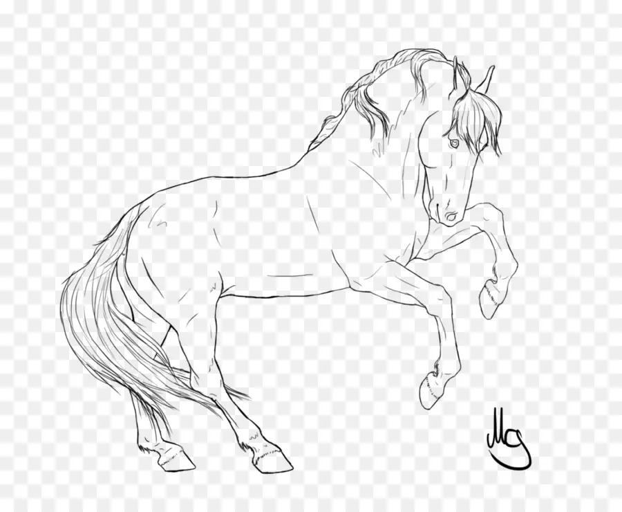 Cheval，Dessin PNG