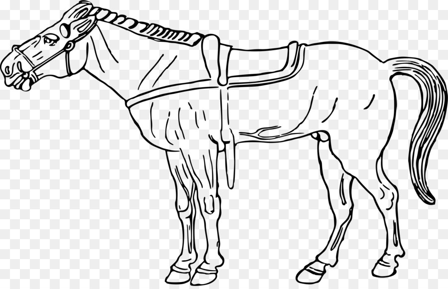 Tête De Cheval，Esquisser PNG