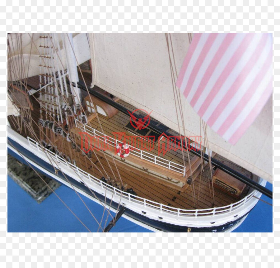 Clipper De Baltimore，Tondeuse PNG