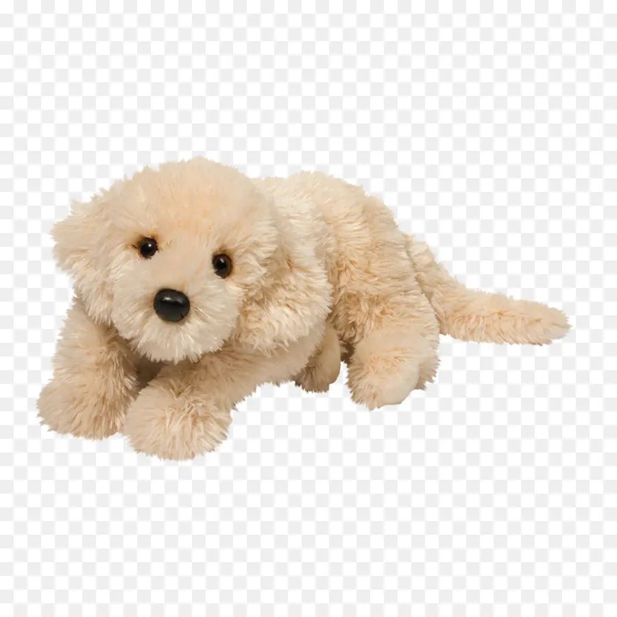 Caniche Toy，Cockapoo PNG