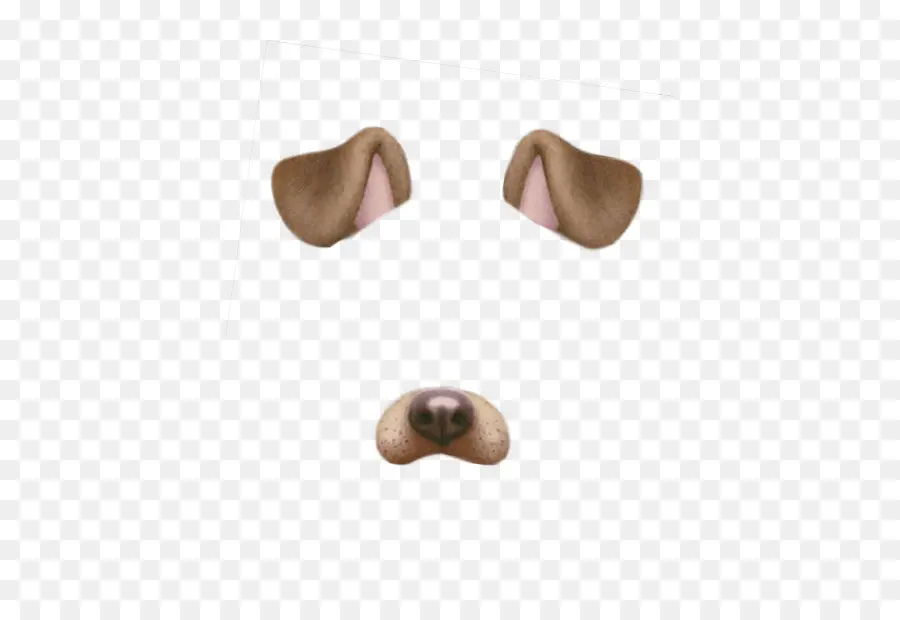 Filtre Visage De Chien，Oreilles PNG