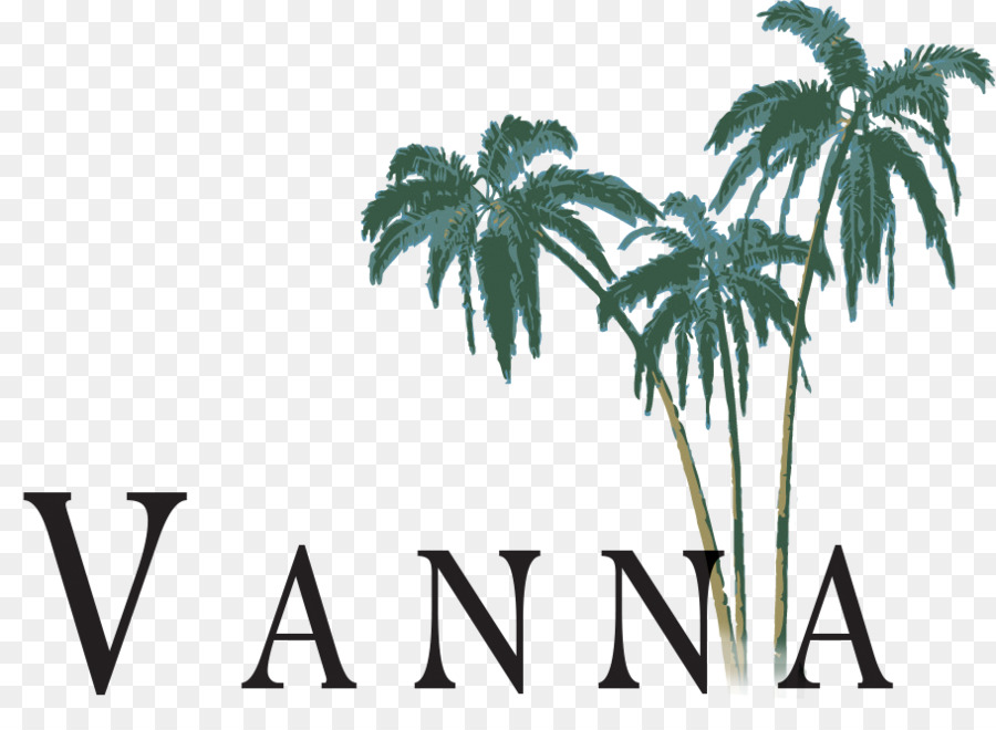 Logo Vanna，Palmiers PNG