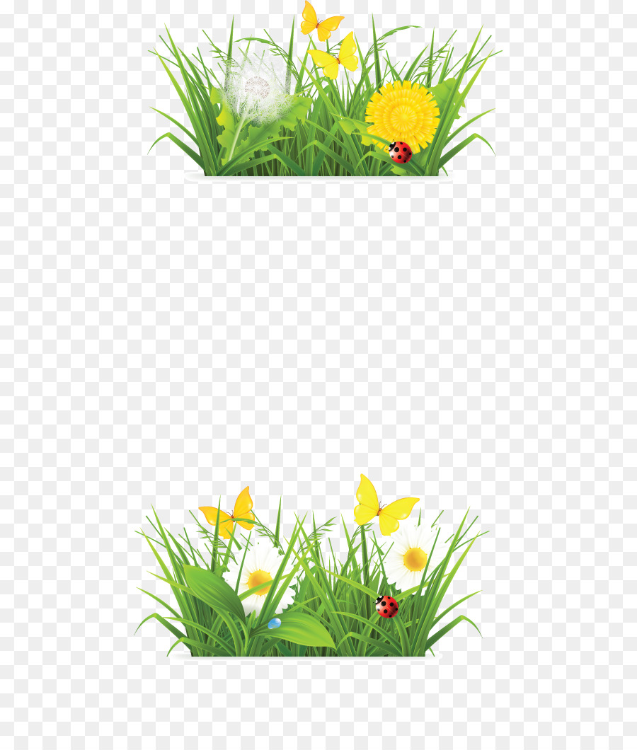 Herbe，Fleurs PNG