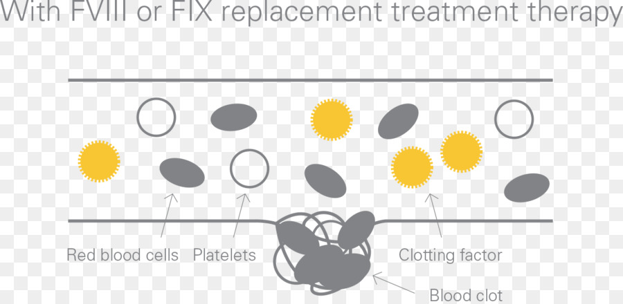 L Hémophilie，La Coagulation PNG