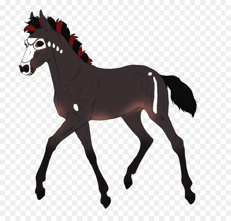 Mustang，Poney PNG