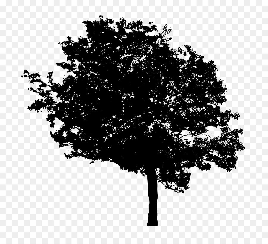 Arbre，Silhouette PNG