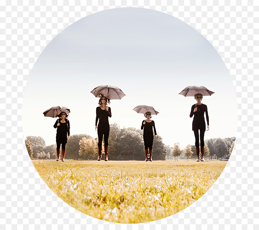 Parapluie， PNG