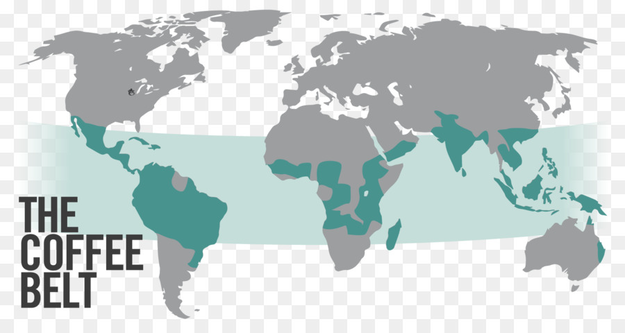 Carte Du Monde，Carte PNG