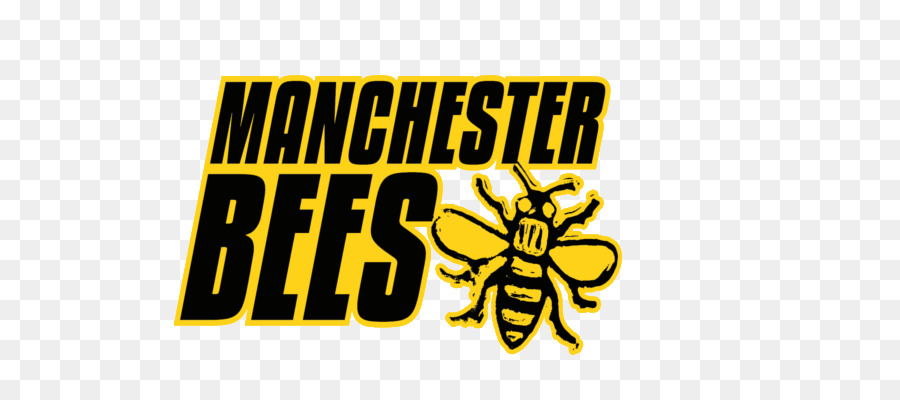 Les Abeilles De Manchester，Manchester PNG