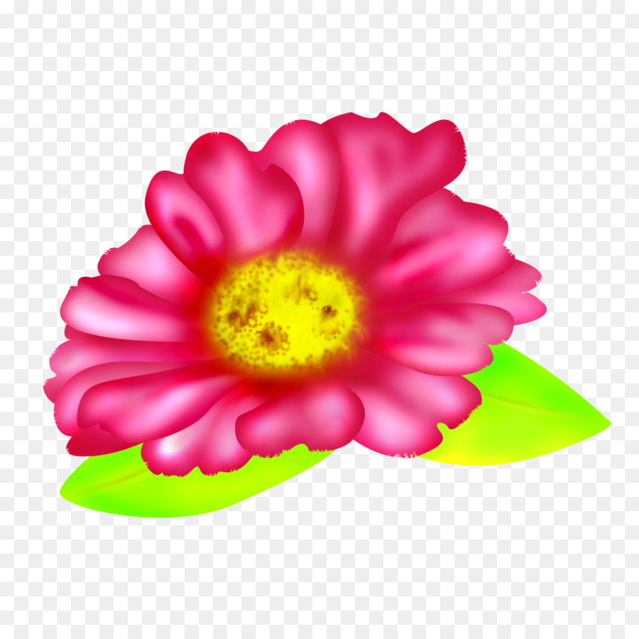Fleur，Fuchsia PNG